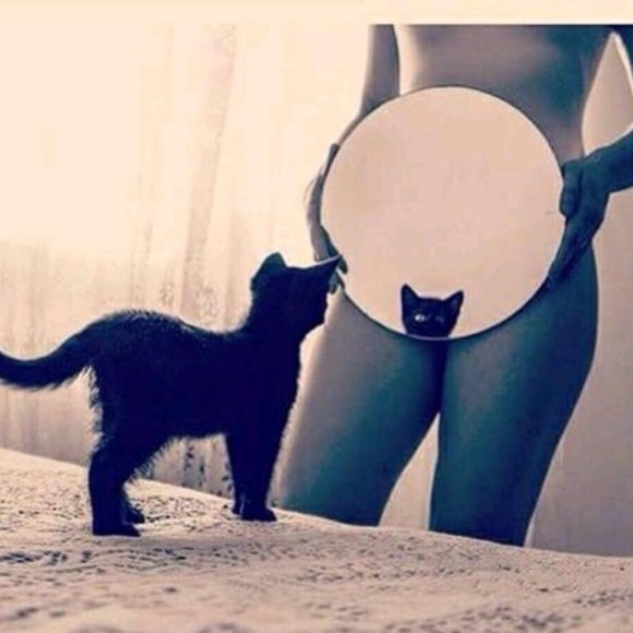 Classic, Couture, Chic, Preppy, Hipster - Picture 5 of 9